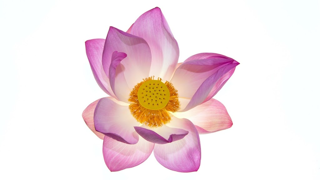 Sainessence Méditation | 100 Rue des Bordages, Varennes, QC J3X 2A7, Canada | Phone: (514) 898-0558