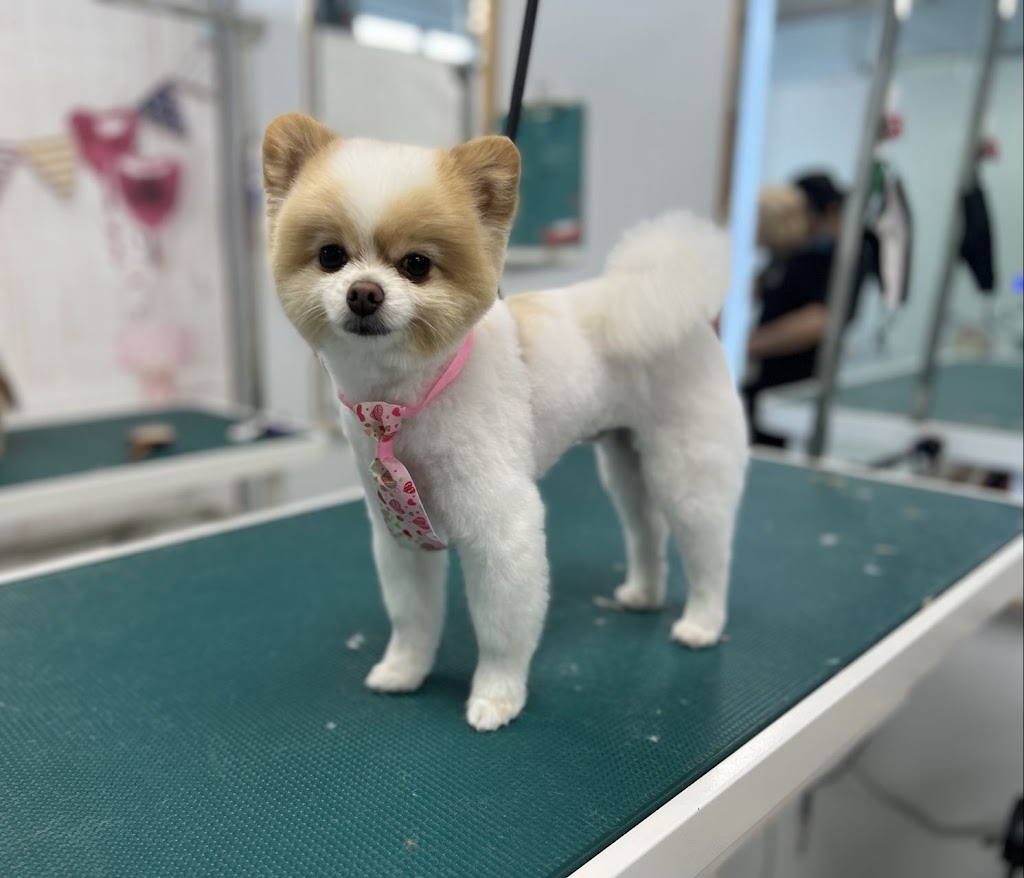 PawPaw Pet Spa & Grooming | 6465 Cartmell Pl SW, Edmonton, AB T6W 4V4, Canada | Phone: (780) 666-9920