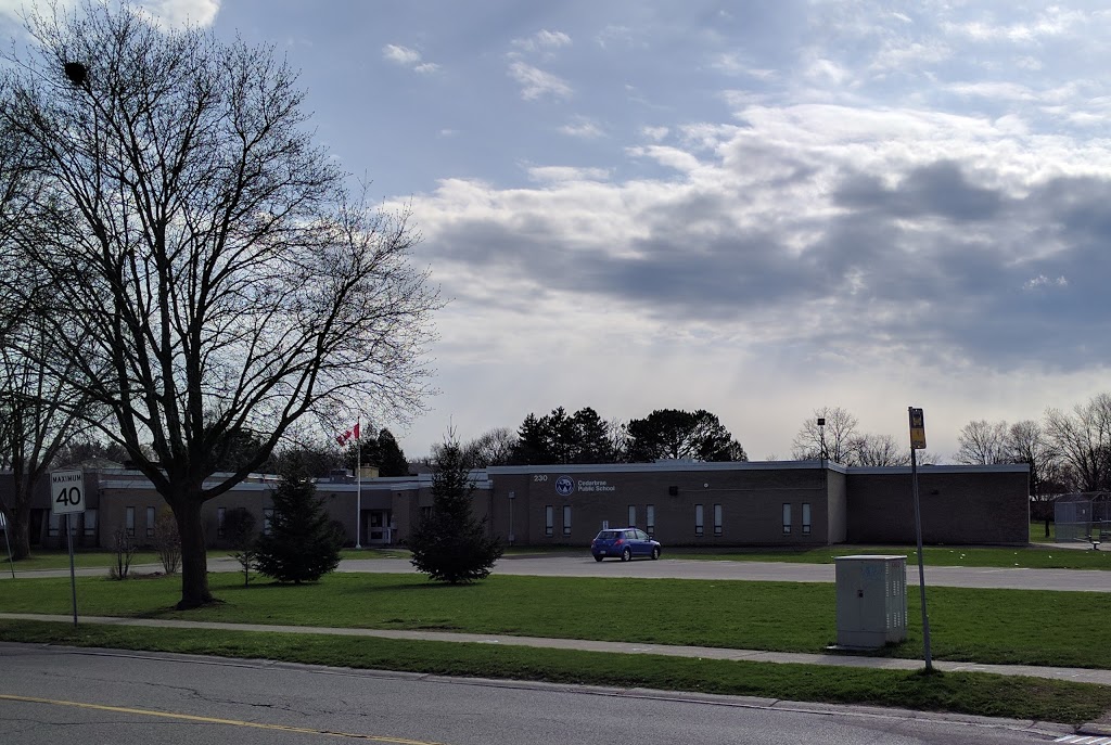 Cedarbrae Public School | 230 Cedarbrae Ave, Waterloo, ON N2L 4S7, Canada | Phone: (519) 884-4940