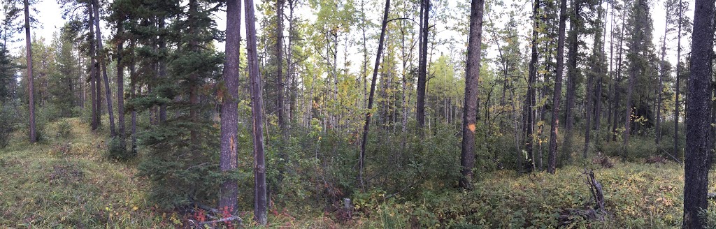 Camp Winchell Coulee | Mountain View County, AB T0L, Canada