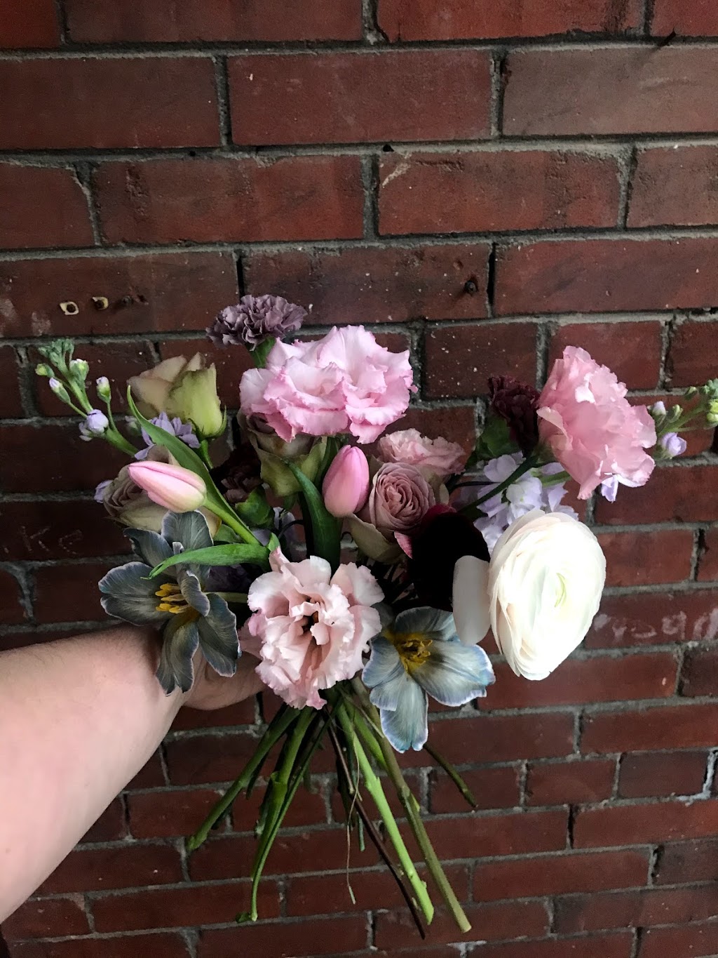 The Moody Blooms | 181 Lansdowne Ave, Toronto, ON M6K 2W1, Canada | Phone: (416) 912-1308