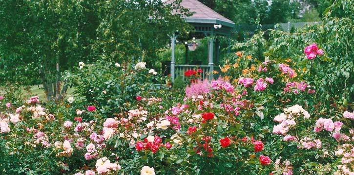 Au Domaine Gite Vallée des Roseaux | 56 Rue Laurier O, Victoriaville, QC G6P 6P3, Canada | Phone: (819) 357-8443