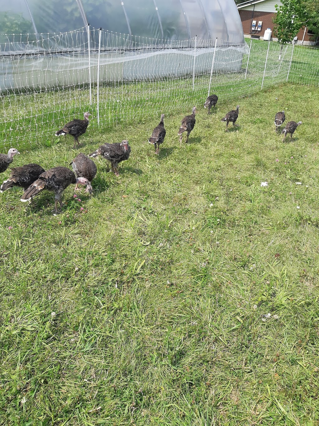 Applewood Farm | 4391 Scotland Dr, London, ON N6L 1L5, Canada | Phone: (519) 668-1515