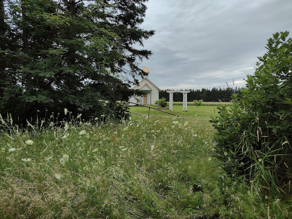 Cavendish Grove, Prince Edward Island National Park | 8780 PE-6, Cavendish, PE C0A 1M0, Canada | Phone: (902) 672-6350