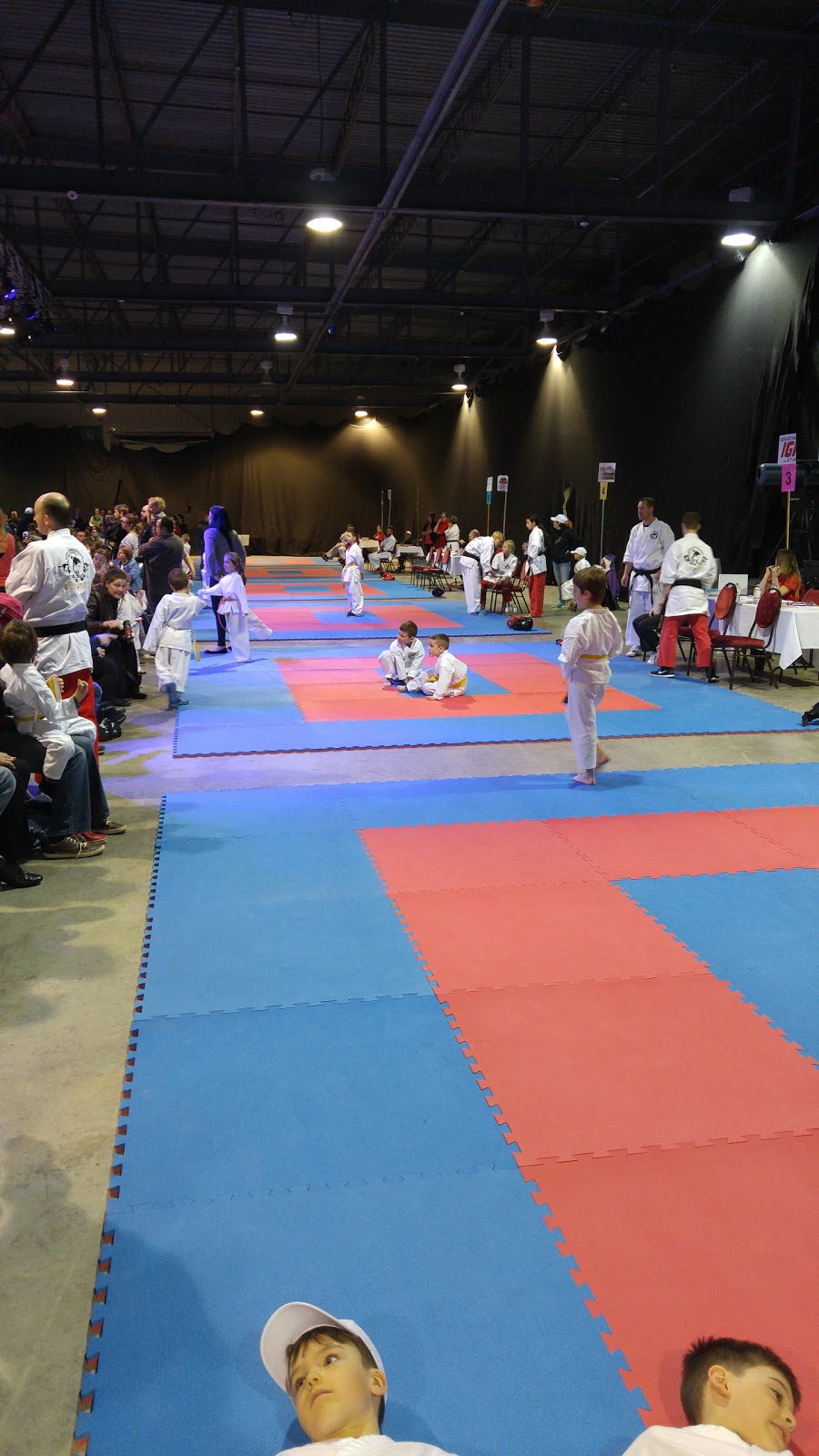 Arena St-Henri | 120 Rue Belleau, Saint-Henri, QC G0R 3E0, Canada | Phone: (418) 882-2401