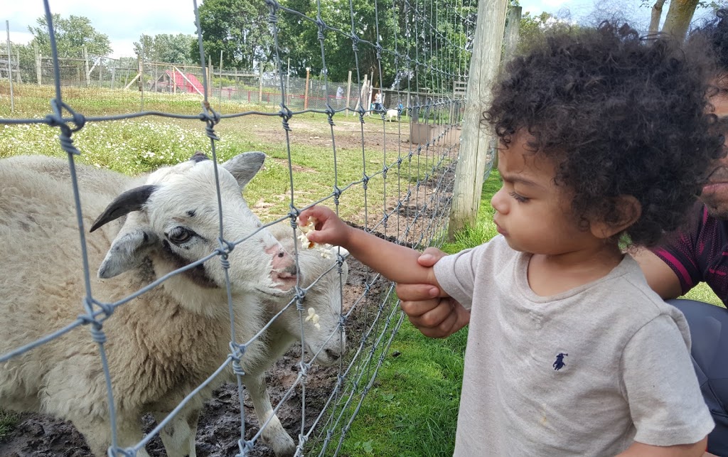 Oshawa Zoo | 3377 Grandview St N, Oshawa, ON L1H 8L7, Canada | Phone: (905) 655-5236