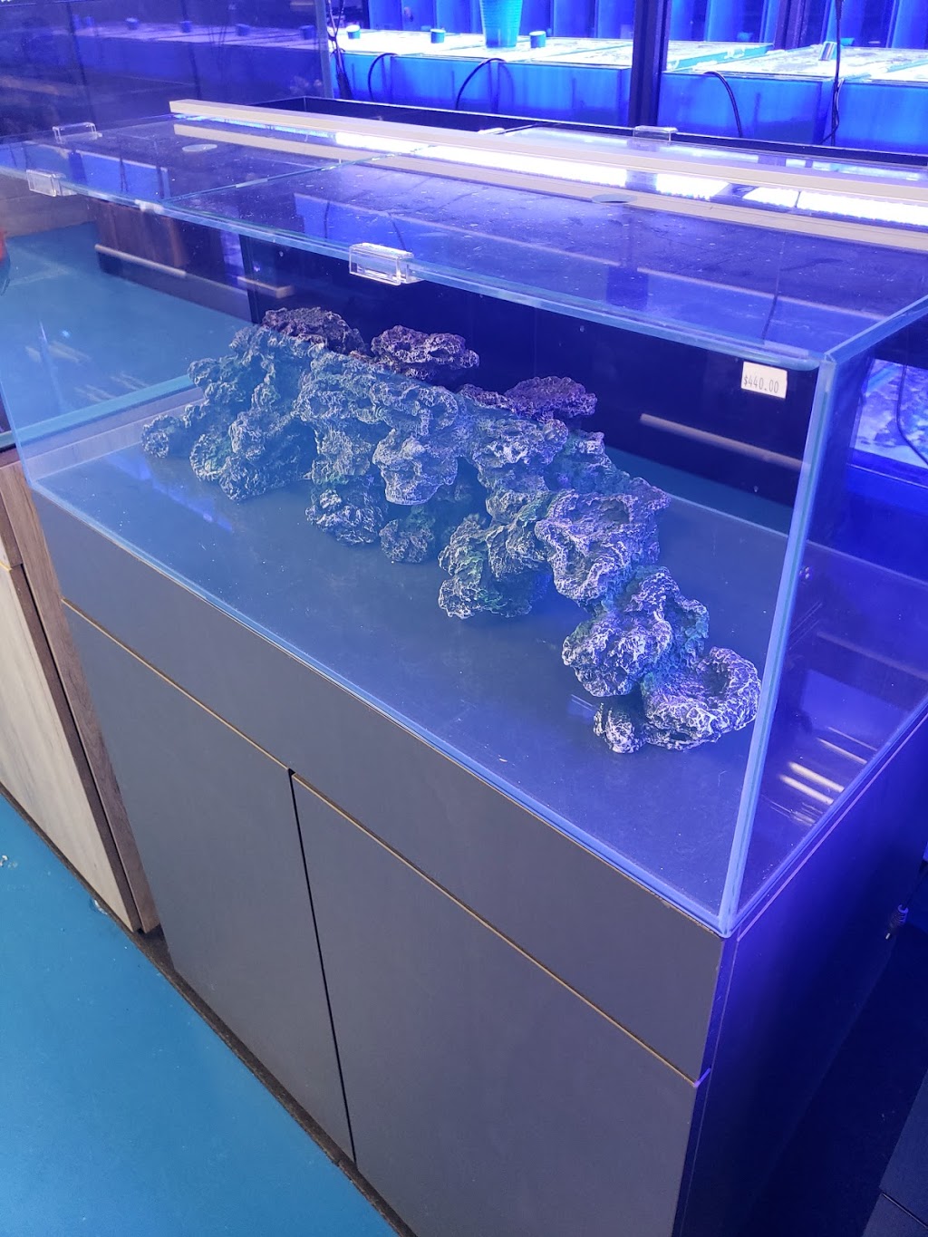 Under The Sea Inc. | 45 Scott Street West, St. Catharines, Ontario, L2R 1E
