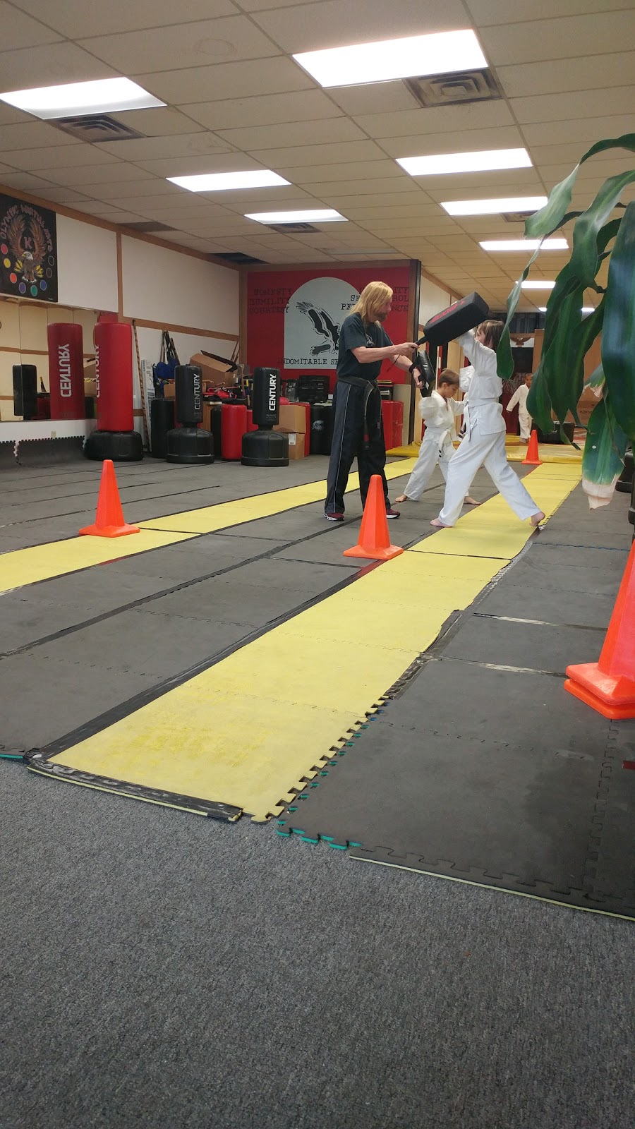 Olympic Martial Arts | 725 Notre Dame Dr, London, ON N6J 3V5, Canada | Phone: (519) 494-0600
