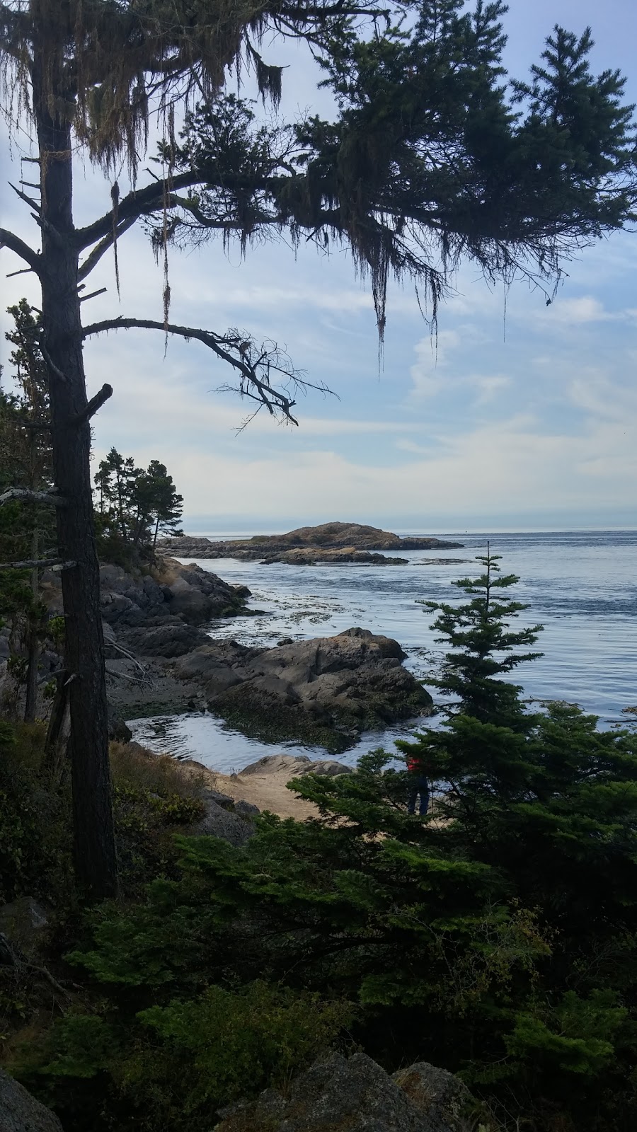 Shark Reef Sanctuary | Shark Reef Rd, Lopez Island, WA 98261, USA