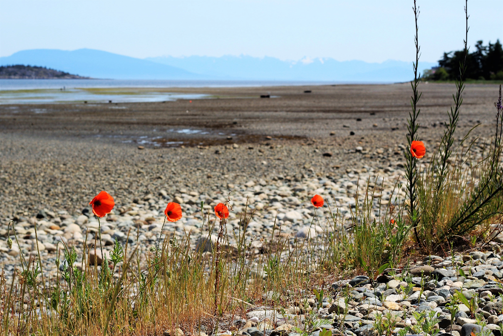 Snaw Naw As Campground | 101 Snaw-Naw-As Road, Lantzville, BC V0R 2H0, Canada | Phone: (250) 933-2505