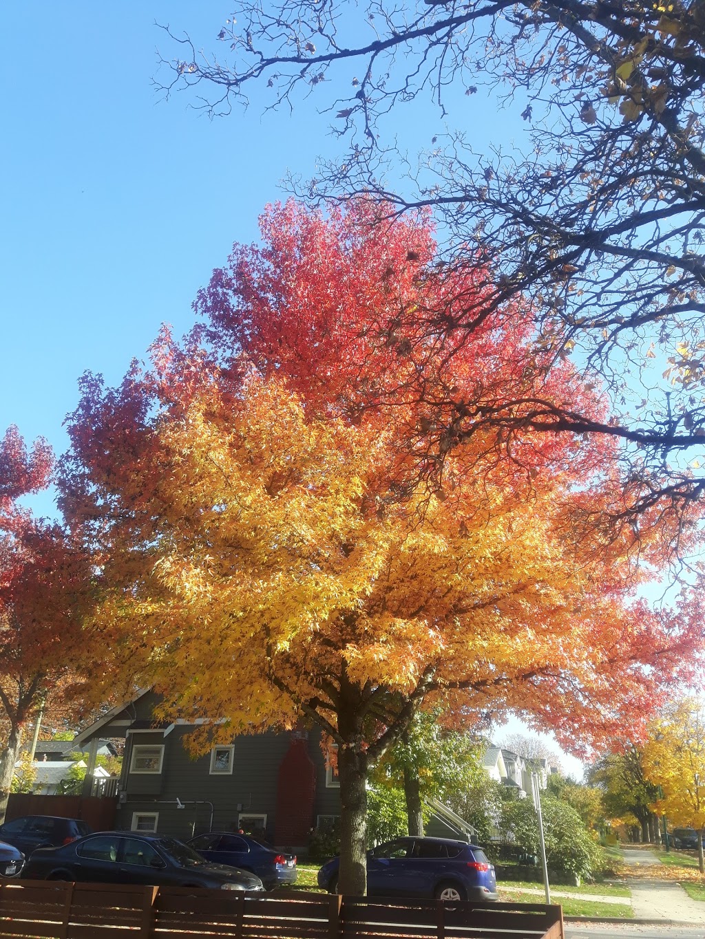 McSpadden Park | 2125 Victoria Dr, Vancouver, BC V5N 5Y4, Canada