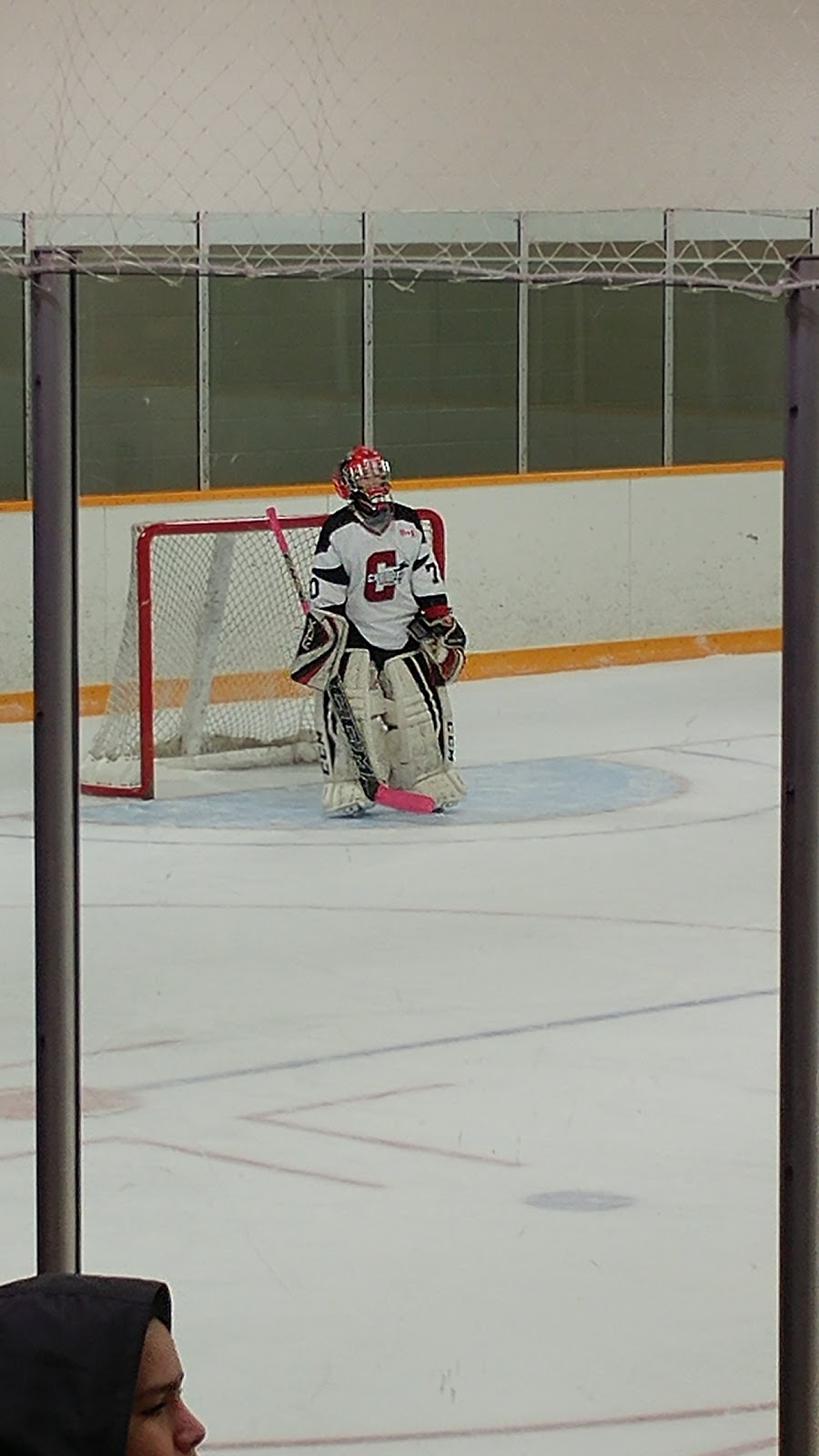 Don McLaren Arena (Customer Service) | 61 Green St, Kitchener, ON N2G 4K9, Canada | Phone: (519) 741-2699