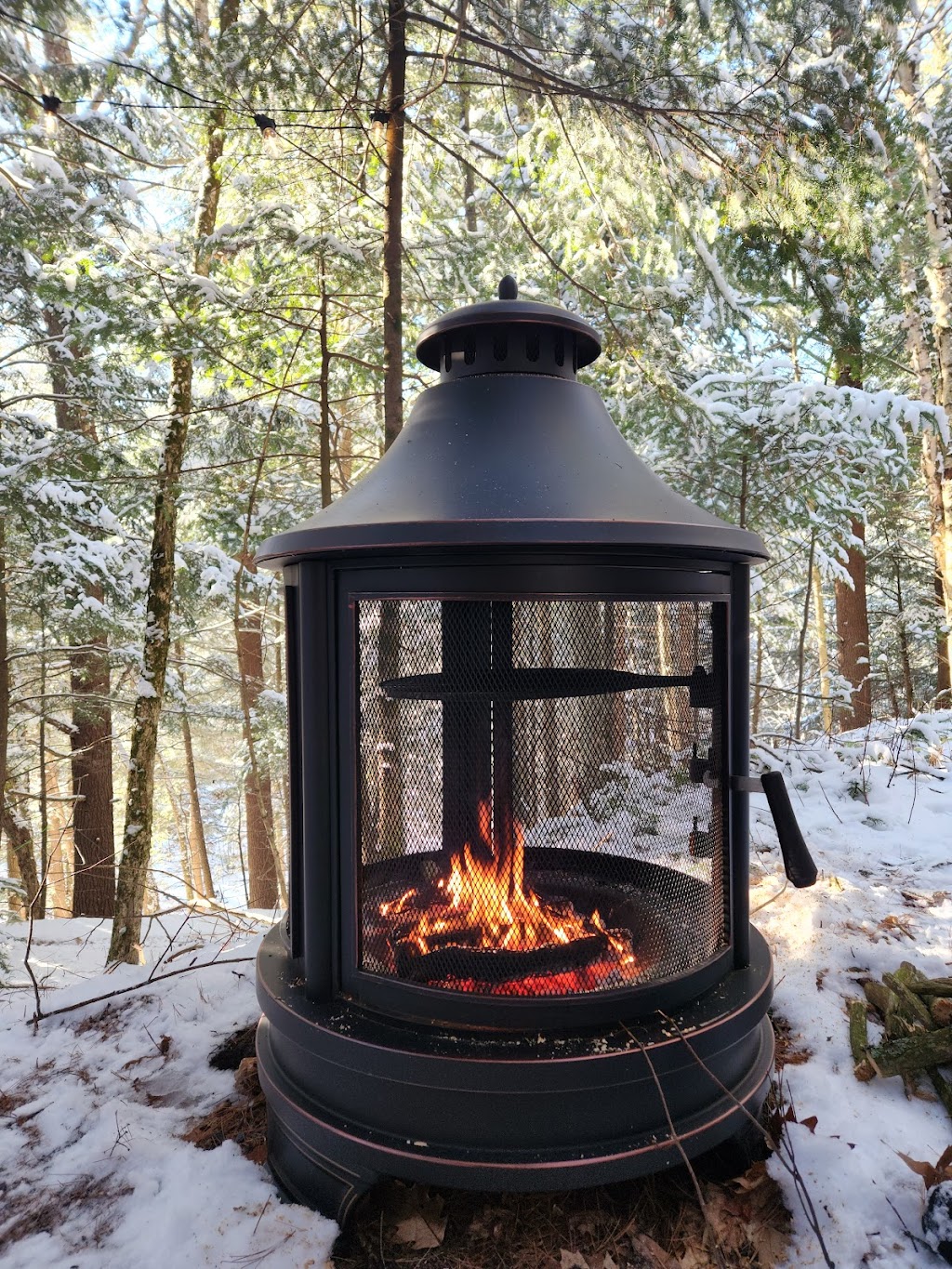 ZuKaLand | 1001 Forrester Trail, Bracebridge, ON P1L 1W9, Canada | Phone: (416) 319-5087