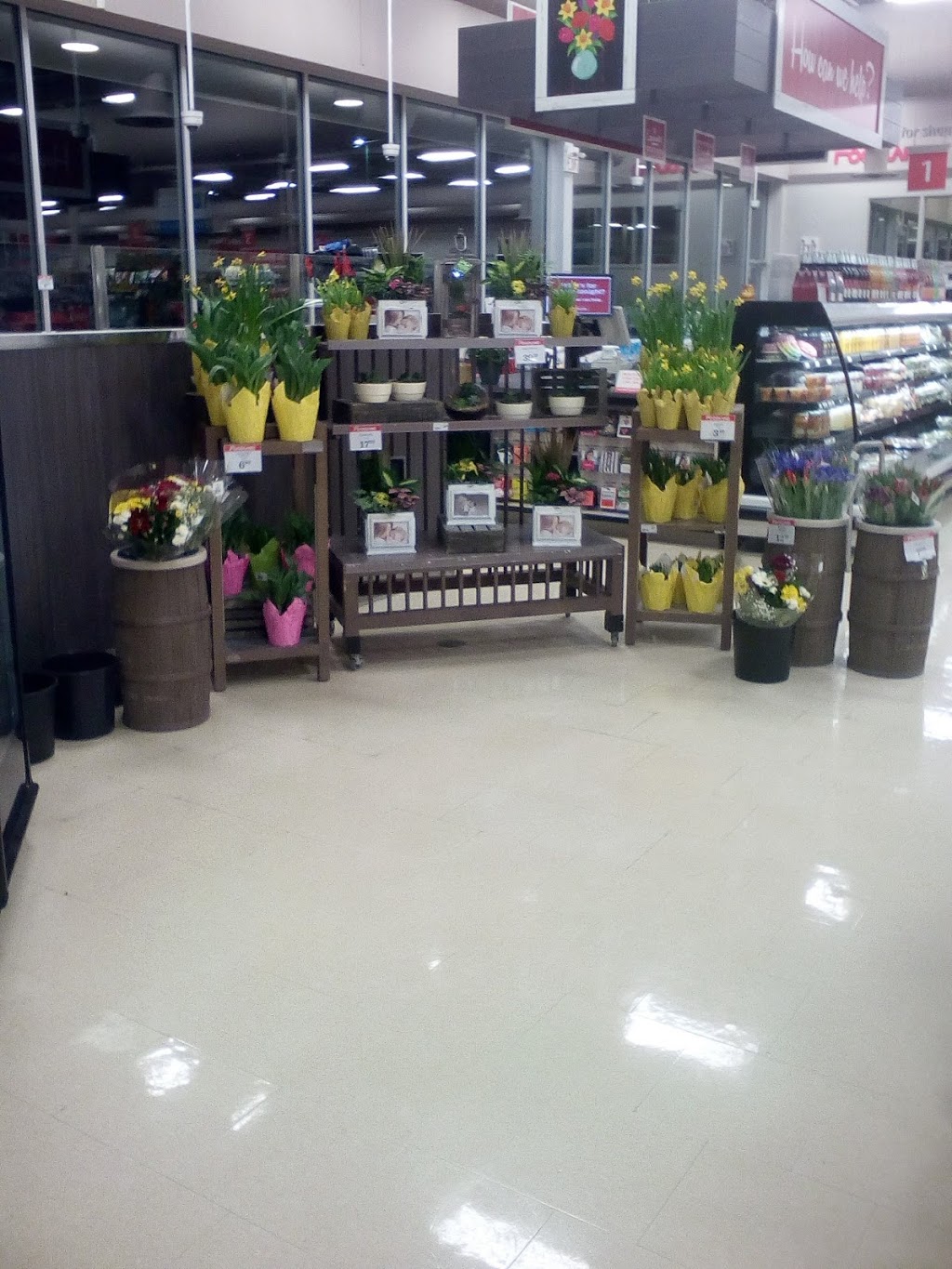 Foodland - Mount Albert | 19263 ON-48, Mount Albert, ON L0G 1M0, Canada | Phone: (905) 473-7406
