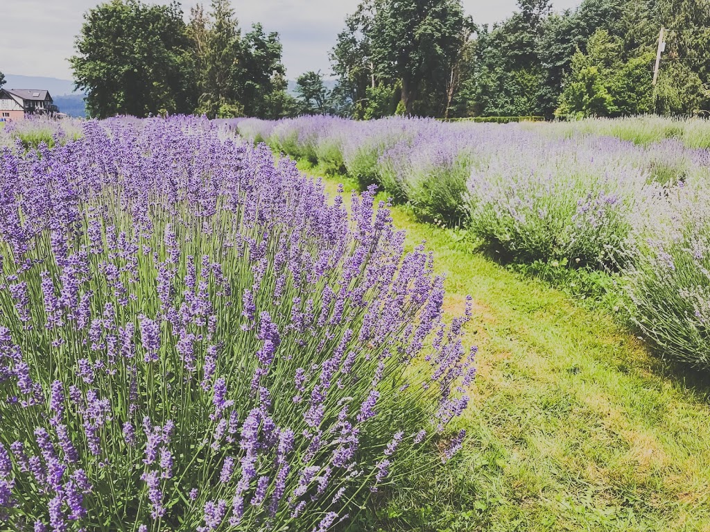 Tuscan Farm Gardens | 6834 Mount Lehman Rd, Abbotsford, BC V4X 2G5, Canada | Phone: (604) 857-1998
