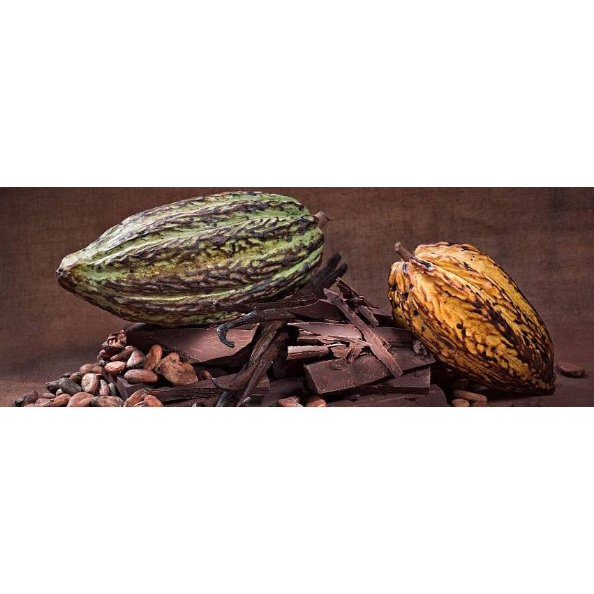 Bernard Callebaut Chocolates | store | 2365 Gordon Dr #113A, Kelowna, BC V1W 3C2, Canada | 2508622752 OR +1 250-862-2752