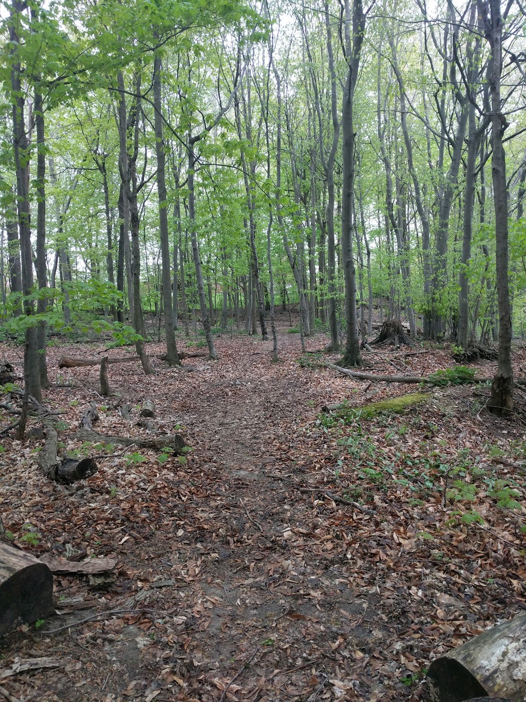 Trailview Park | Forest Heights, Kitchener, ON N2N, Canada | Phone: (519) 741-2345