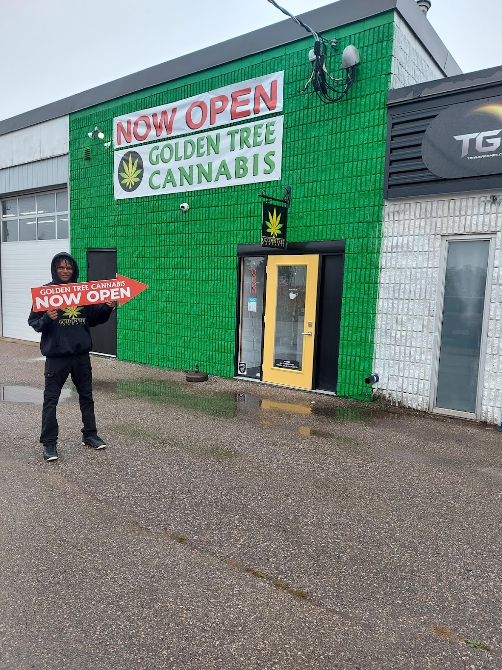 Golden Tree Cannabis Shelburne | 735 Industrial Rd, Shelburne, ON L9V 2Z4, Canada | Phone: (519) 925-1269