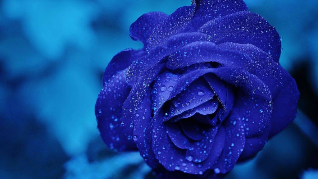 Mary Newman Couples Counselling and Psychotherapy | 95 Northern Dancer Blvd, Toronto, ON M4L 3Z8, Canada | Phone: (416) 686-8682
