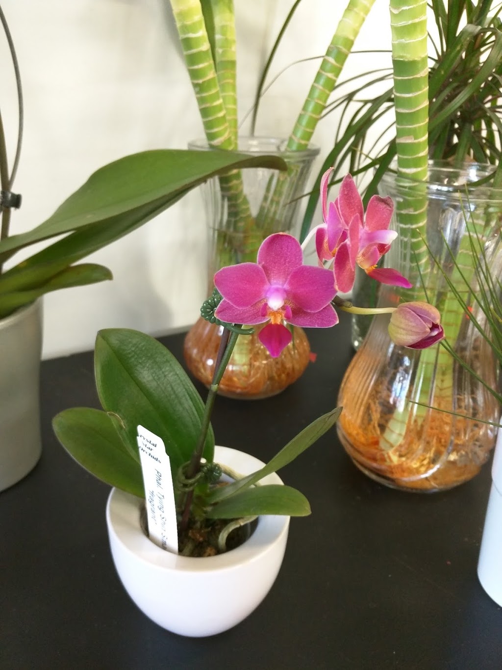 Greystone Walk Garden Centre | Outside of the parking lot, 2 Greystone Walk Dr, Scarborough, ON M1K 5J2, Canada | Phone: (416) 830-8806