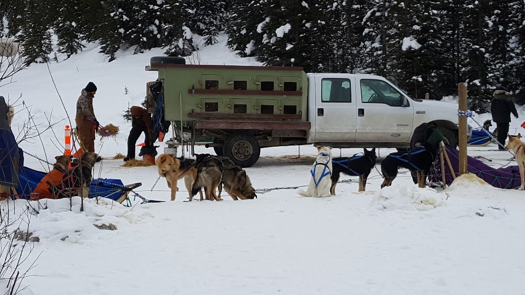 Kingmik Dog Sled Tours | 16430 Hwy 1A, Lake Louise, AB T0L 1E0, Canada | Phone: (855) 482-4592