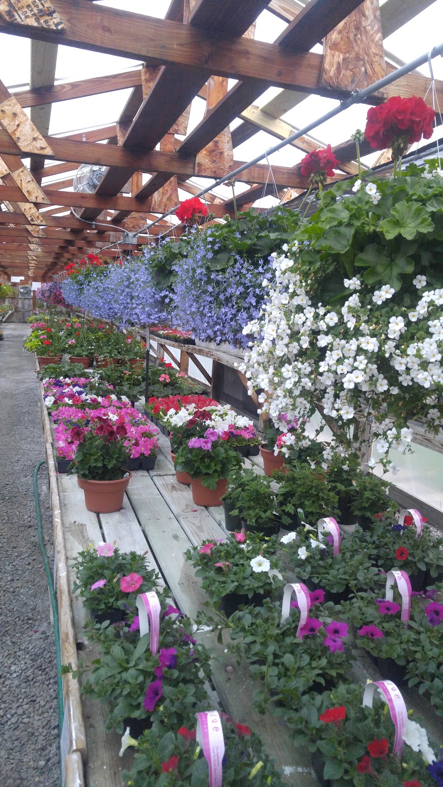 Sunrise Gardens | 3605 Lapeer Rd, Port Huron, MI 48060, USA | Phone: (810) 985-3531