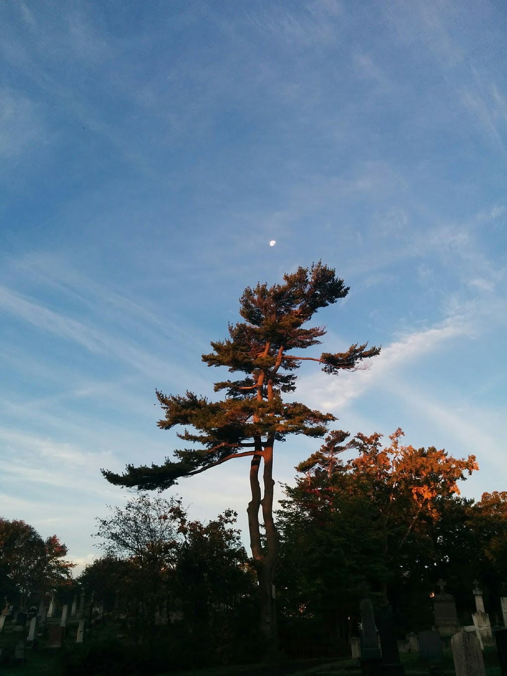 Mount Olivet Cemetery | Mumford Rd, Halifax, NS B3L, Canada