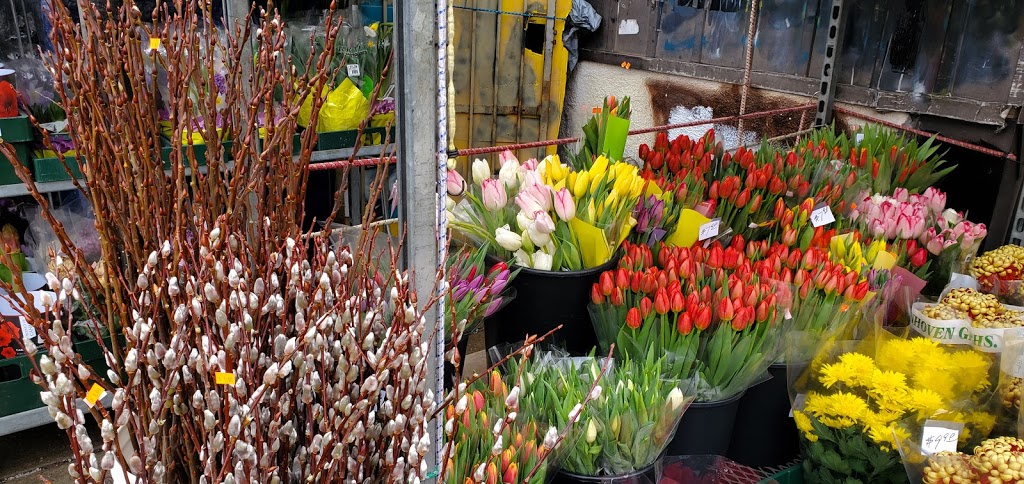 Maple Garden | 673 Gerrard St E, Toronto, ON M4M 1Y2, Canada | Phone: (416) 466-9811
