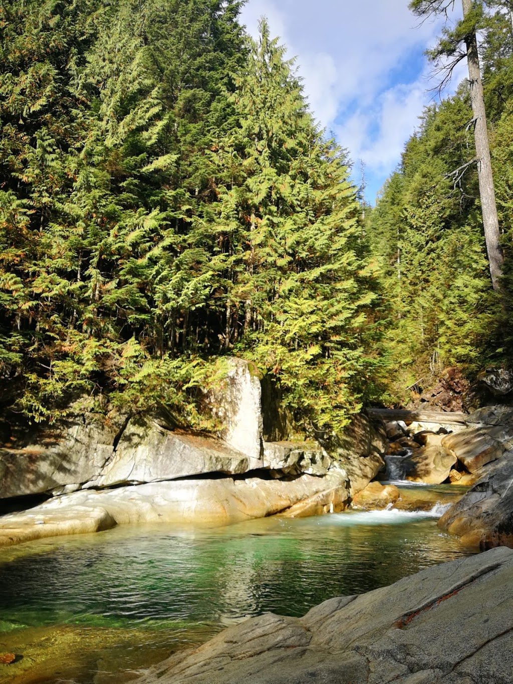 Golden Ears Provincial Park | 24480 Fern Crescent, Maple Ridge, BC V4R 2S1, Canada