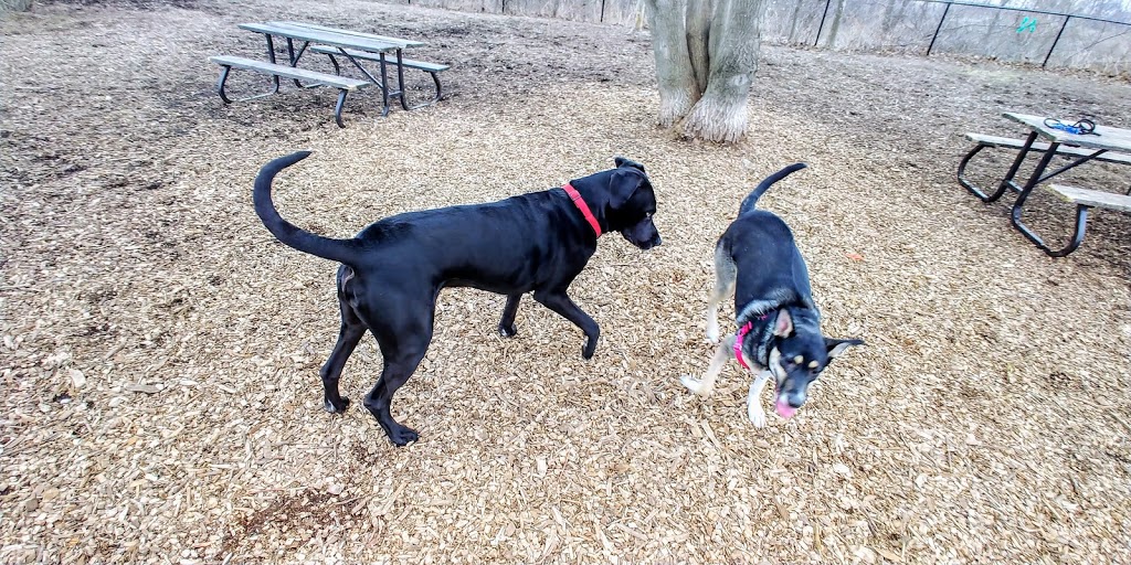 Roly Bird Dog Run | 2203 Industrial St, Burlington, ON L7P 1A1, Canada | Phone: (905) 335-7600