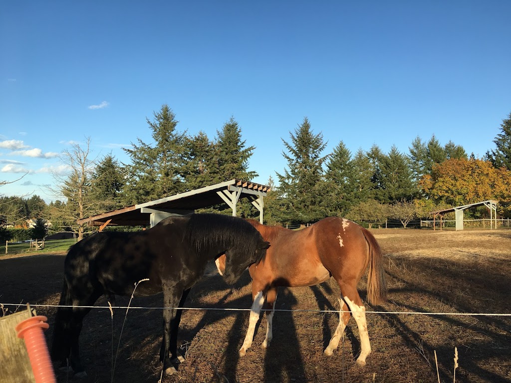 Tantivy Stables | 6224 Central Saanich Rd, Victoria, BC V8Z 5T7, Canada | Phone: (250) 652-9537