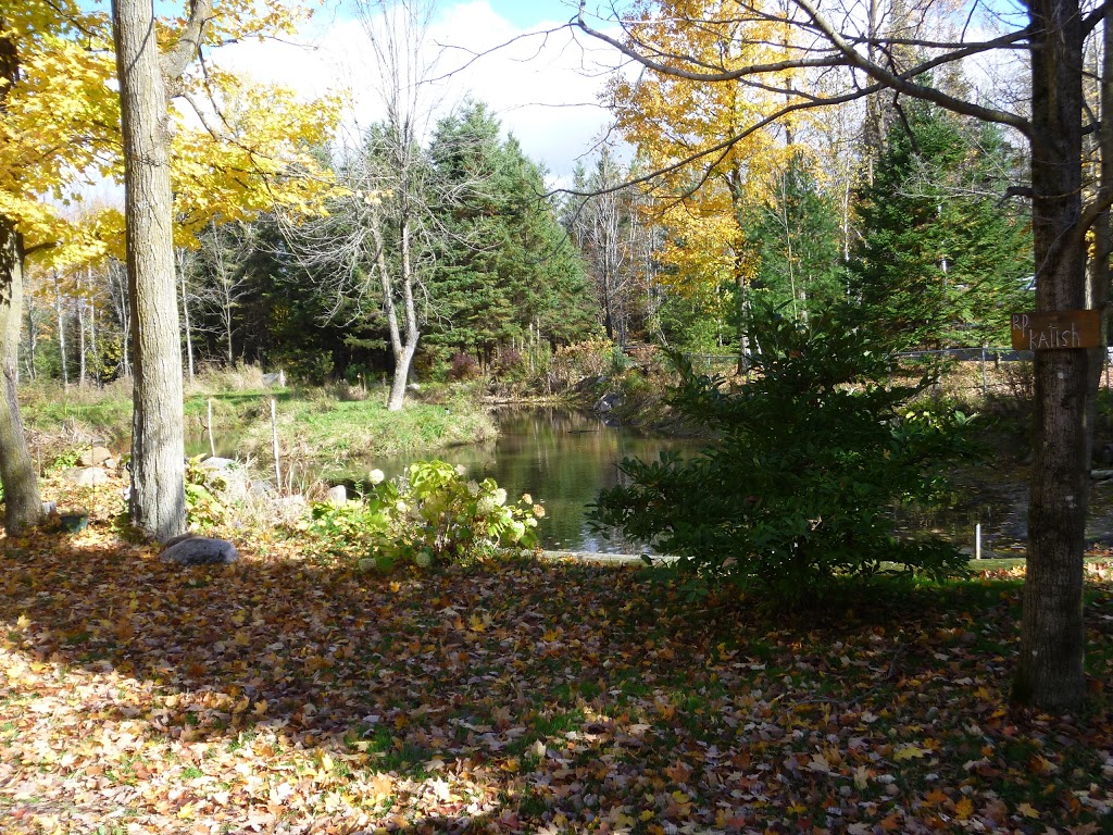 A la Patte Poilue Chenil | 2080 Nolan Rd, Hammond, ON K0A 2A0, Canada | Phone: (613) 488-2595