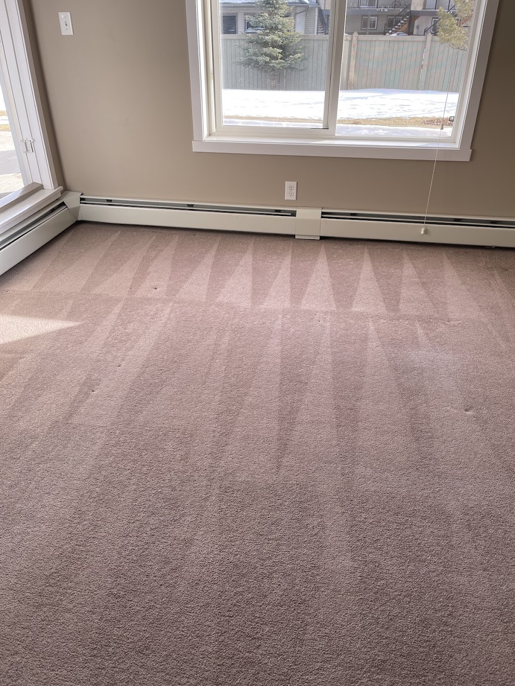 Carpet Plus Cleaning | 2229 Casey Cres SW, Edmonton, AB T6W 3M6, Canada | Phone: (780) 807-0908