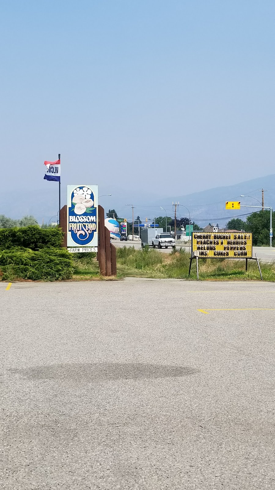Blossom Fruit Stand | 5408 BC-97, Summerland, BC V0H 1Z4, Canada | Phone: (250) 494-1111