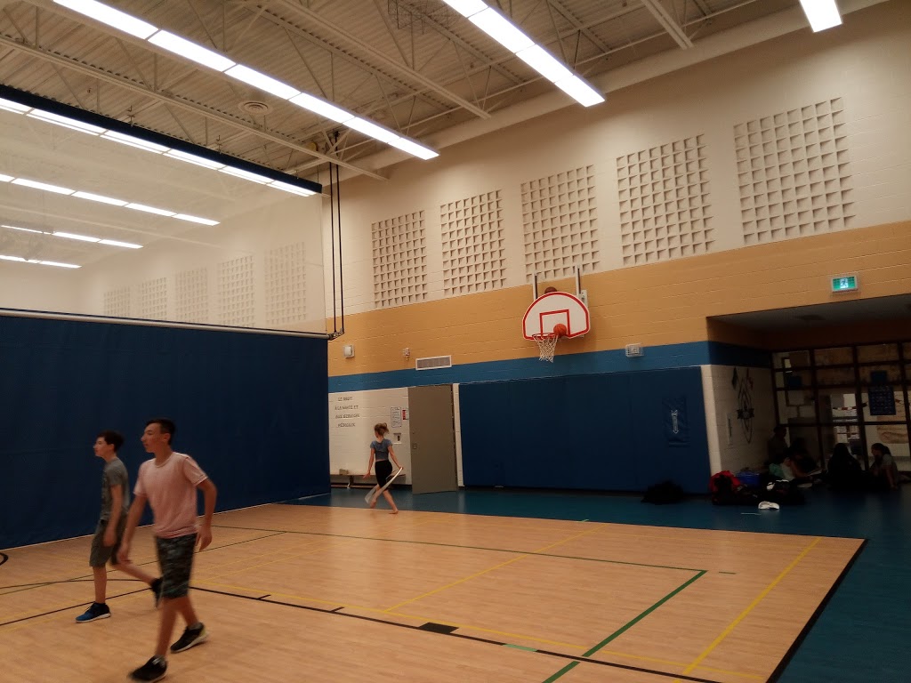 Roméo Dallaire Public School | 550 Peter Rupert Ave, Maple, ON L6A 0S1, Canada | Phone: (905) 585-0001