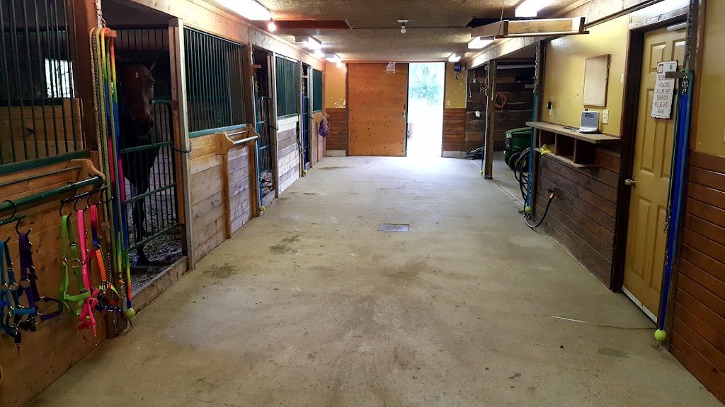 BR Equestrian Centre | 241 Harley Rd, Harley, ON N0E 1E0, Canada | Phone: (519) 755-1377