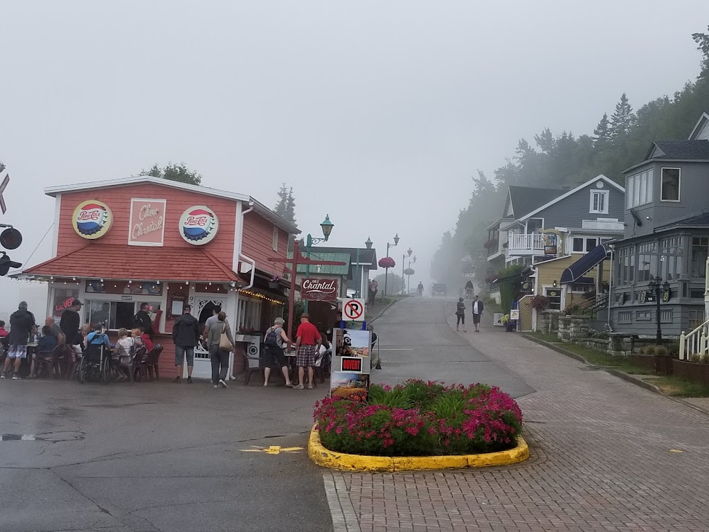 Train de Charlevoix -Gare La Malbaie | 110 Chem. du Havre, La Malbaie, QC G5A 2Y9, Canada | Phone: (844) 737-3282