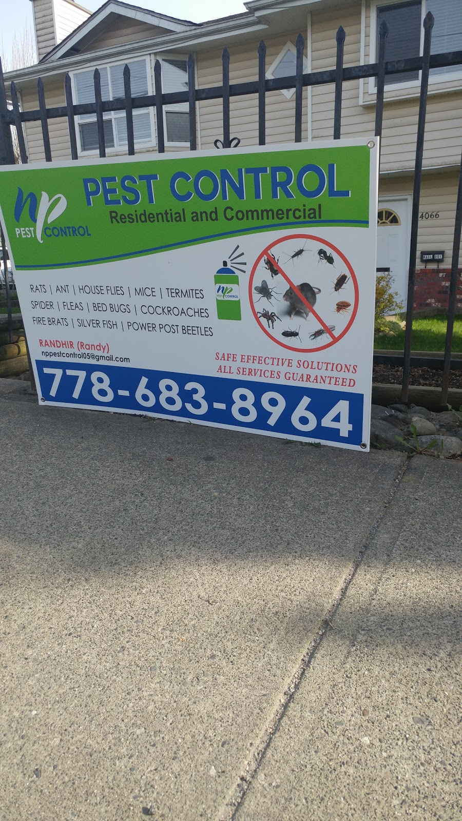NP pest control | 14066 88 Ave, Surrey, BC V3W 3L6, Canada | Phone: (778) 683-8964