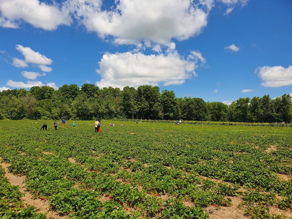 Downeys Apple Farm | 13707 Heart Lake Rd, Inglewood, ON L7C 2K7, Canada | Phone: (905) 838-4777