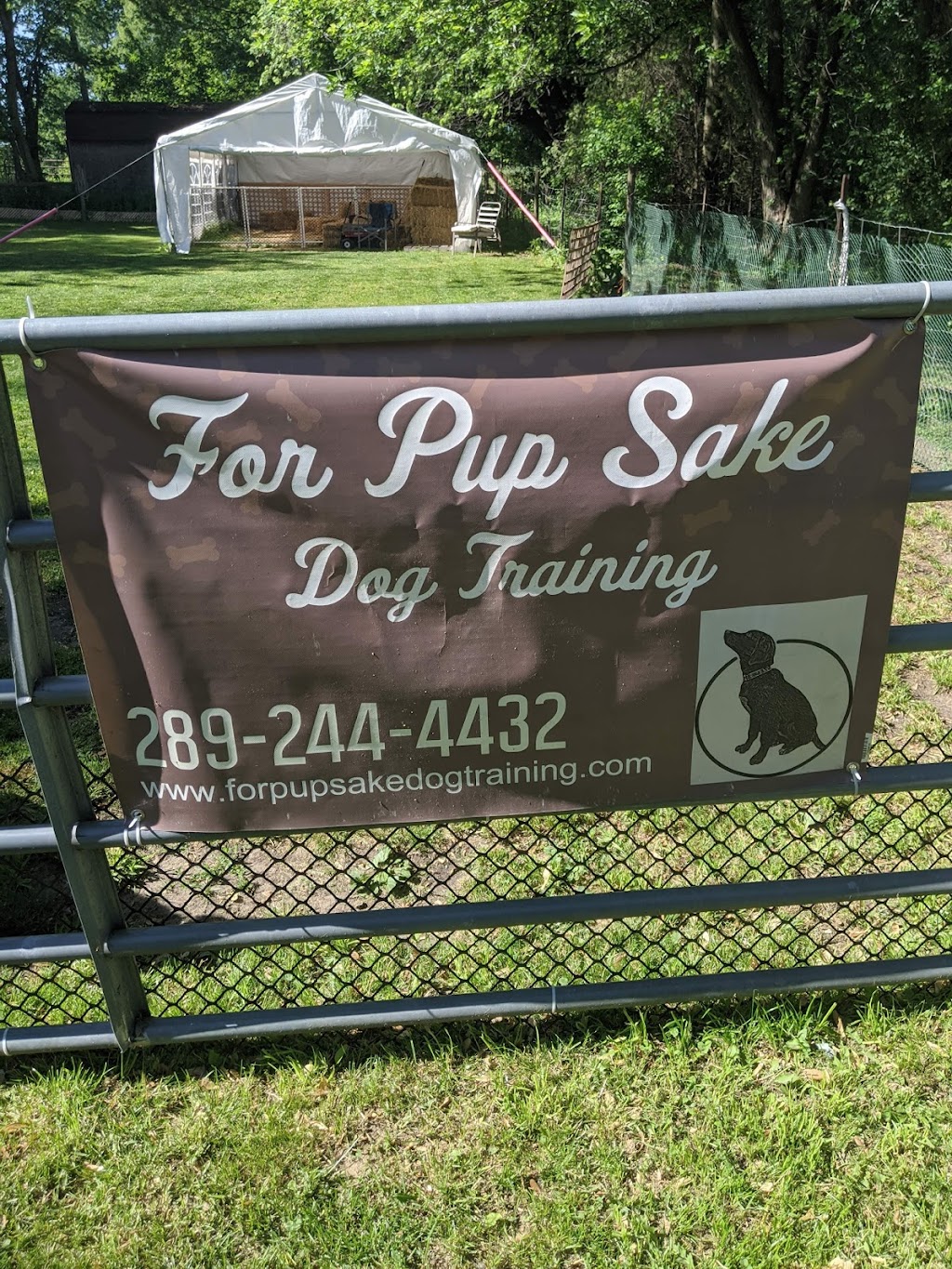 For Pup Sake Dog Training | 622 Hwy 52 N, Lynden, ON L0R 1T0, Canada | Phone: (289) 244-4432