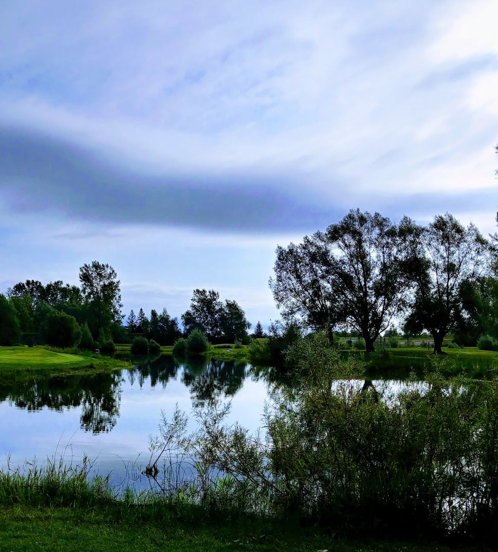 Falcon Ridge Golf Club | 4740 High Rd, Gloucester, ON K1X 1B3, Canada | Phone: (613) 822-6742