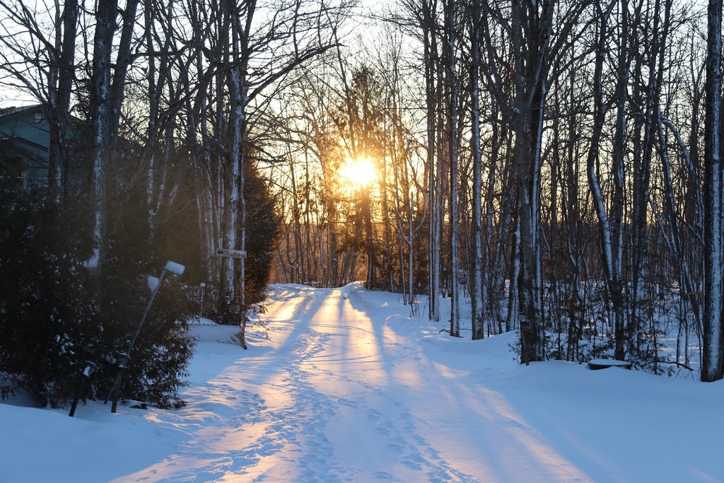 Woodhaven Country Lodge | 97 Fire Rte 51, Buckhorn, ON K0L 1J0, Canada | Phone: (855) 254-3883