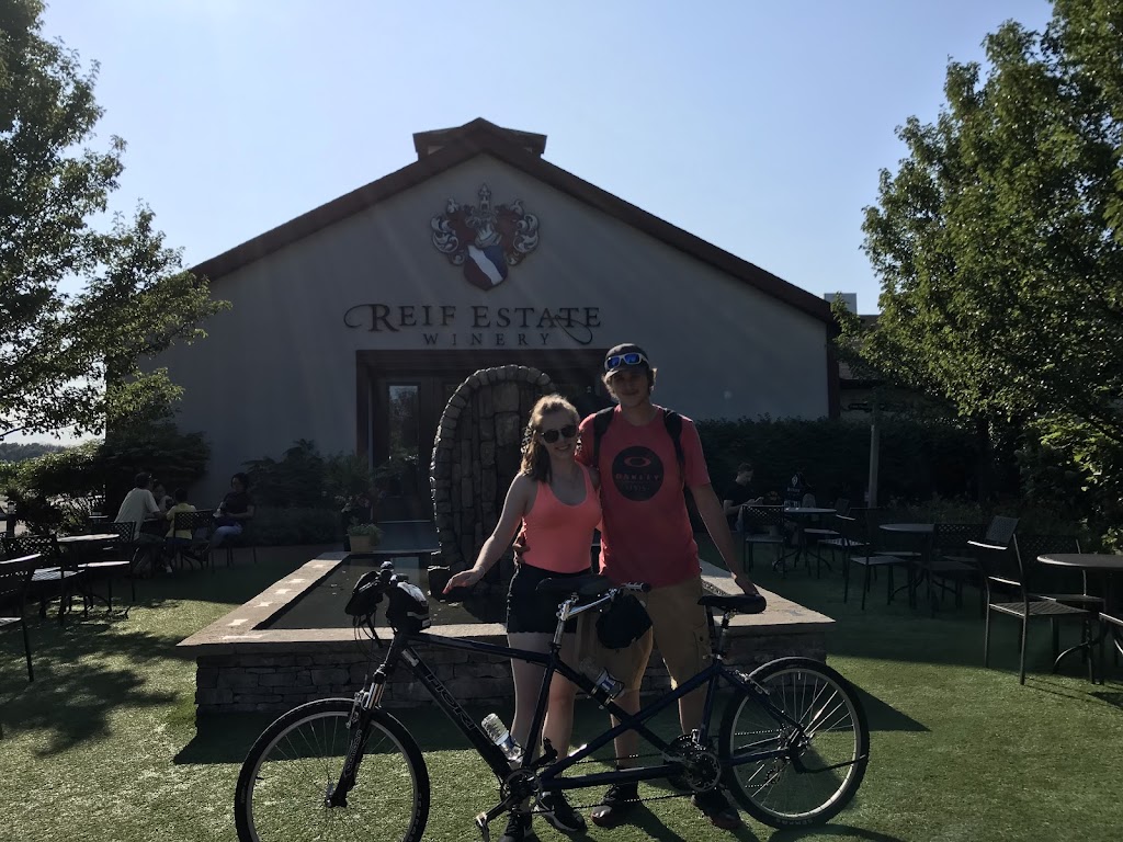Niagara Wine Tours International | 1534 Niagara Stone Rd, Niagara-on-the-Lake, ON L0S 1J0, Canada | Phone: (905) 988-0405