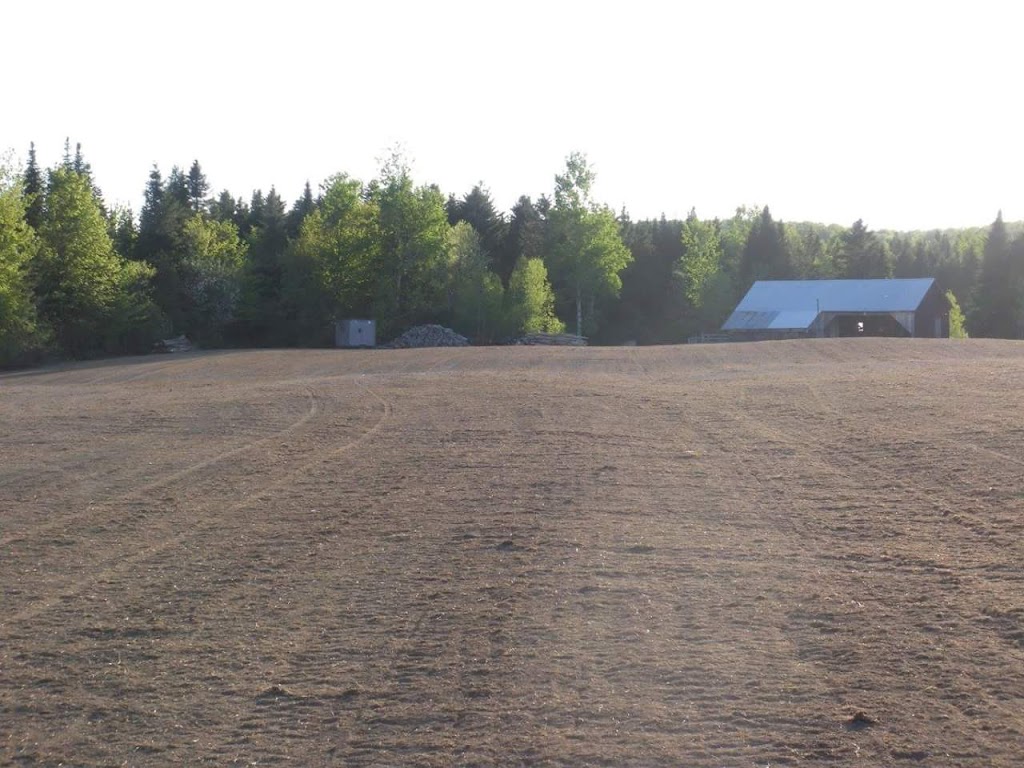 Ferme Milvie Senc | 620 rang 9 St-benoit-Lâbre, Saint-Benoît-Labre, QC G0M 1P0, Canada | Phone: (418) 228-7399