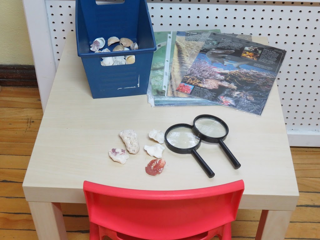 Little Learning House - Locke Street | 86 Homewood Ave, Hamilton, ON L8P 2M4, Canada | Phone: (905) 570-0000