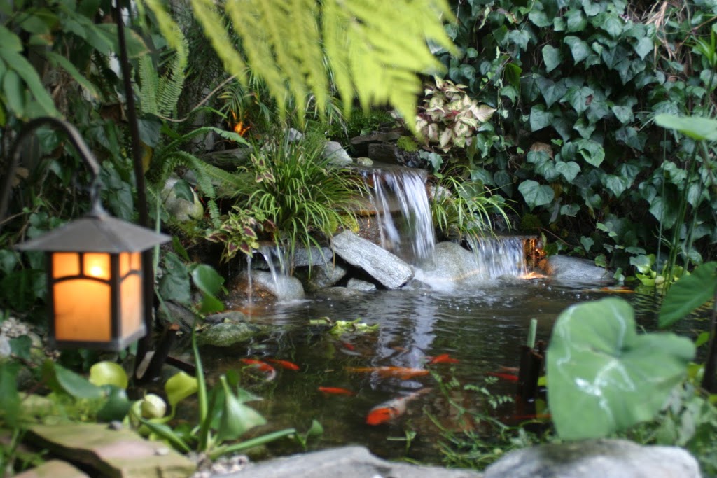 Aquascape, Inc. CANADIAN OFFICE | 1200 Creditstone Rd Unit 1, Concord, ON L4K 5T2, Canada | Phone: (905) 454-7300