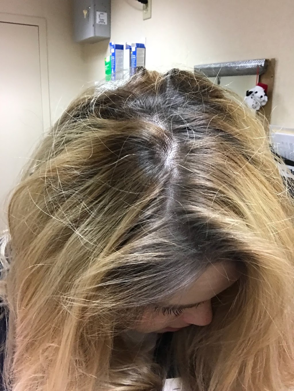 Karma Salon & Spa | 731 Elmwood Ave, Buffalo, NY 14222, USA | Phone: (716) 462-4457