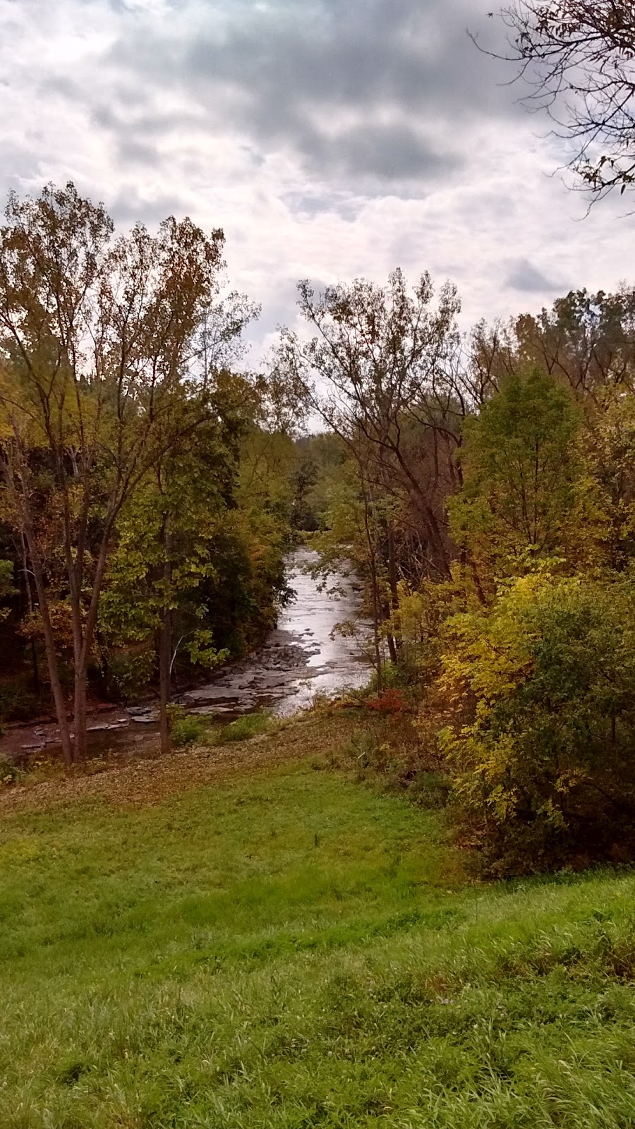 Anna Mae Bacon Bird Sanctuary | 1-85 NY-391, Hamburg, NY 14075, USA