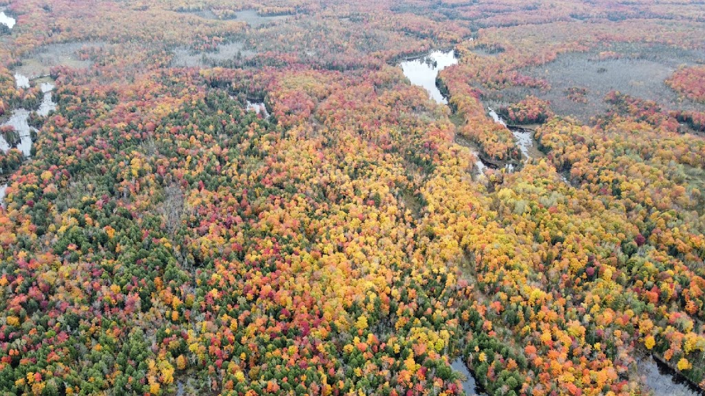 Eldorado Recreation | 114 Wolf Lake Rd, Madoc, ON K0K 1Y0, Canada | Phone: (613) 480-5368