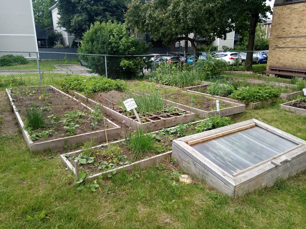 Lowertown Community Garden | 1G1, Patro St, Ottawa, ON K1N 1G1, Canada | Phone: (613) 789-3930